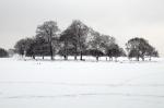 Brockwell Park in the Snow Series